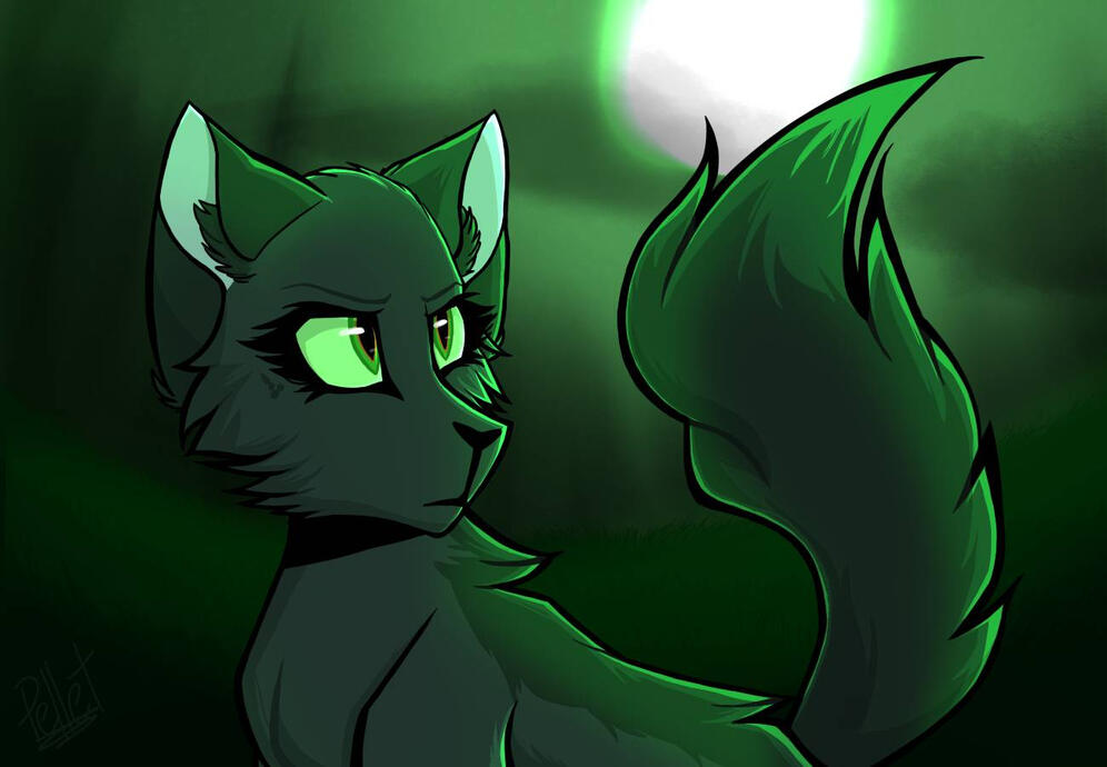 Hollyleaf