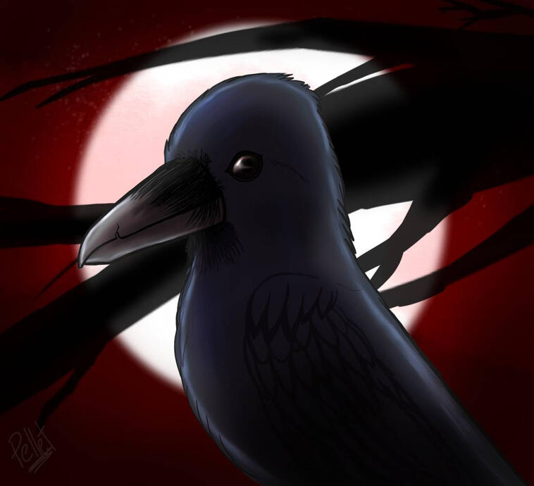 Raven
